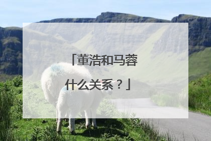 董浩和马蓉什么关系?