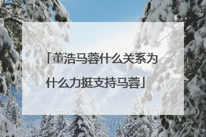 董浩马蓉什么关系为什么力挺支持马蓉