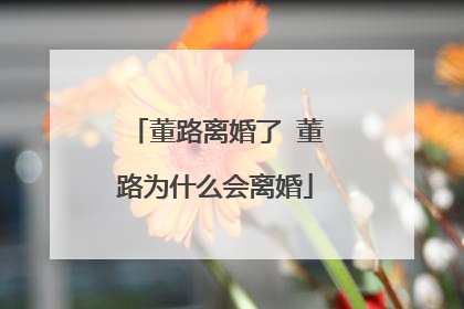 董路离婚了 董路为什么会离婚