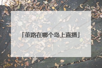 董路在哪个岛上直播
