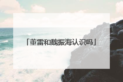 董雷和魏振海认识吗