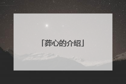 葬心的介绍
