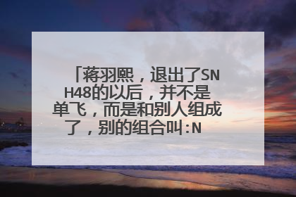 蒋羽熙，退出了SNH48的以后，并不是单飞，而是和别人组成了，别的组合叫:N GIRLS，对吗？