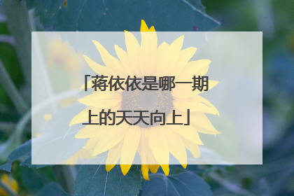 蒋依依是哪一期上的天天向上