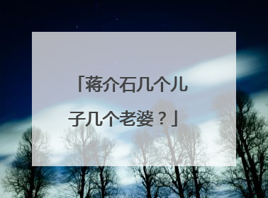 蒋介石几个儿子几个老婆？