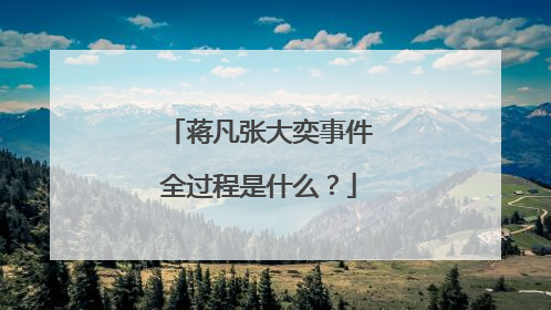蒋凡张大奕事件全过程是什么？