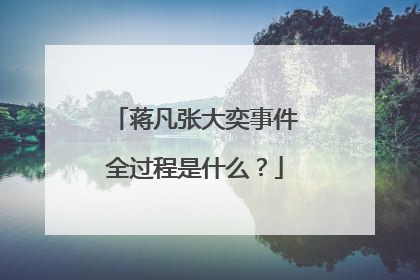 蒋凡张大奕事件全过程是什么？