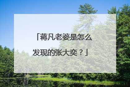 蒋凡老婆是怎么发现的张大奕?