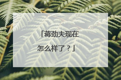 蒋劲夫现在怎么样了?