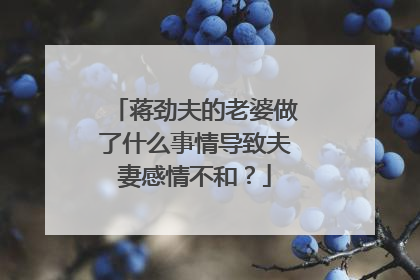 蒋劲夫的老婆做了什么事情导致夫妻感情不和?