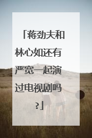 蒋劲夫和林心如还有严宽一起演过电视剧吗?