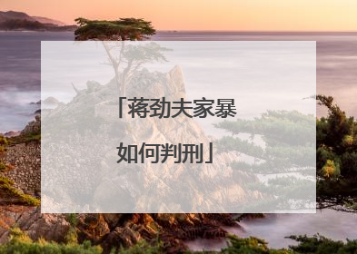 蒋劲夫家暴如何判刑