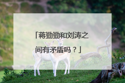 蒋勤勤和刘涛之间有矛盾吗?