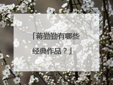 蒋勤勤有哪些经典作品？