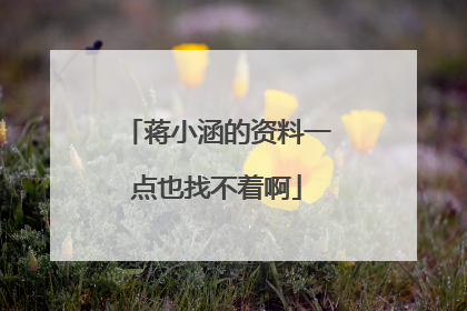 蒋小涵的资料一点也找不着啊