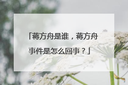蒋方舟是谁，蒋方舟事件是怎么回事？