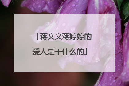 蒋文文蒋婷婷的爱人是干什么的