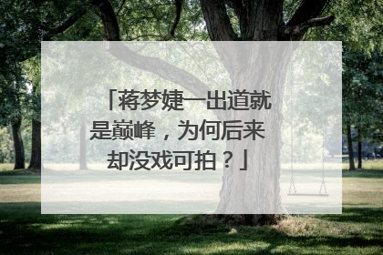 蒋梦婕一出道就是巅峰,为何后来却没戏可拍?
