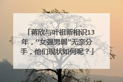 蒋欣与叶祖新相识13年,“女强男弱”无奈分手,他们现状如何呢?