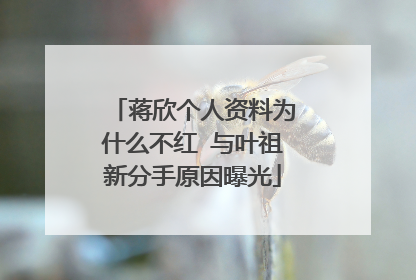 蒋欣个人资料为什么不红 与叶祖新分手原因曝光