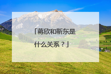 蒋欣和靳东是什么关系？