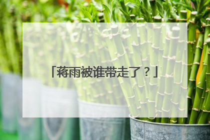 蒋雨被谁带走了？