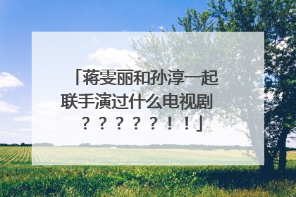 蒋雯丽和孙淳一起联手演过什么电视剧？？？？？！！