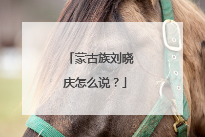 蒙古族刘晓庆怎么说？