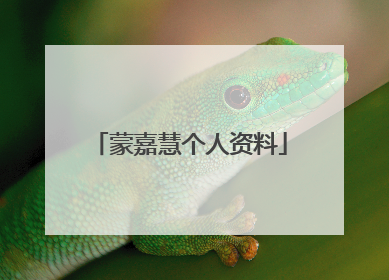 蒙嘉慧个人资料