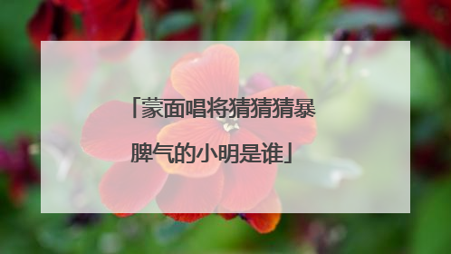 蒙面唱将猜猜猜暴脾气的小明是谁