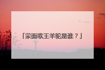 蒙面歌王羊驼是谁?