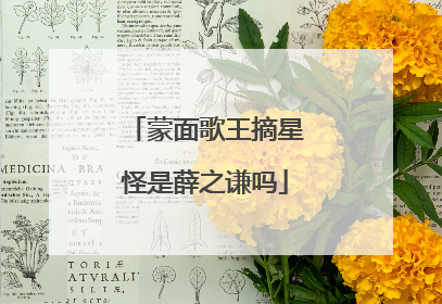 蒙面歌王摘星怪是薛之谦吗