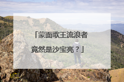 蒙面歌王流浪者竟然是沙宝亮?