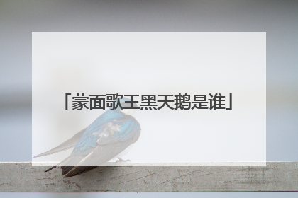 蒙面歌王黑天鹅是谁