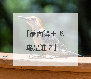 蒙面舞王飞鸟是谁？