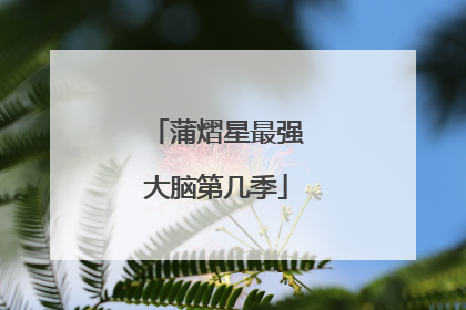 蒲熠星最强大脑第几季