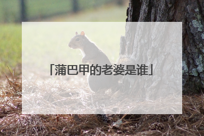 蒲巴甲的老婆是谁