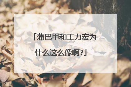 蒲巴甲和王力宏为什么这么像啊?