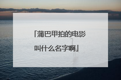 蒲巴甲拍的电影叫什么名字啊