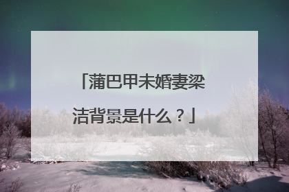 蒲巴甲未婚妻梁洁背景是什么?