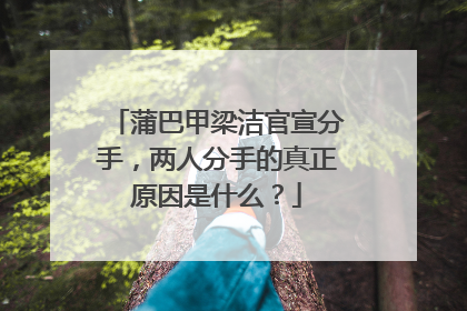 蒲巴甲梁洁官宣分手,两人分手的真正原因是什么?