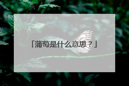 蒲萄是什么意思?