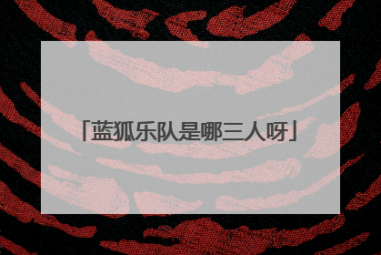 蓝狐乐队是哪三人呀