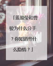 蓝盈莹和曹骏为什么分手?你知道些什么隐情?