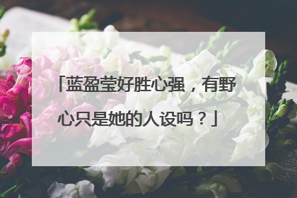 蓝盈莹好胜心强，有野心只是她的人设吗？