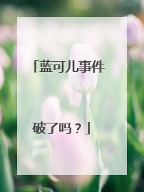 蓝可儿事件破了吗?