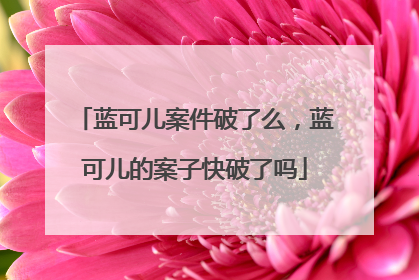 蓝可儿案件破了么,蓝可儿的案子快破了吗