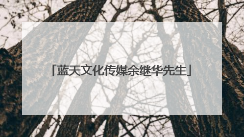 蓝天文化传媒余继华先生