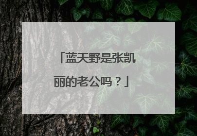 蓝天野是张凯丽的老公吗？