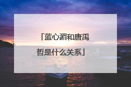 蓝心湄和唐禹哲是什么关系